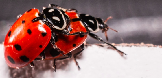 [閒聊] 辦網路時門市小妹沒跟我說會看到這個