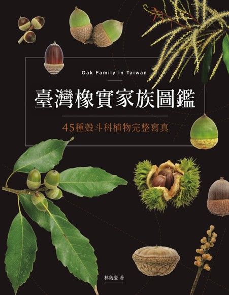 臺灣橡實家族圖鑑:45種殼斗科植物完整寫真 - PanSci 泛科學