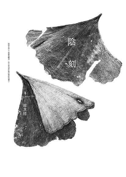 陰刻 - PanSci 泛科學