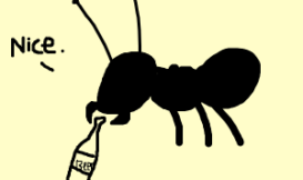蟻巢營養內循環，螞蟻的蛹不動也能貢獻社會