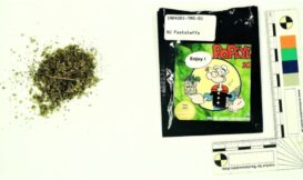鑑識故事系列：吸食合成大麻，胡亂攻擊警察