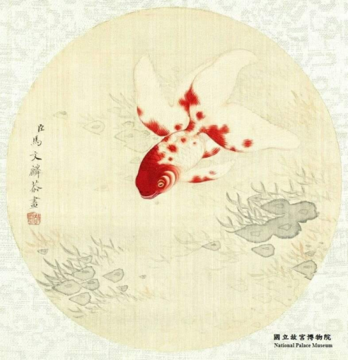 麒~麟麒~麟,你的脖子怎麼那麼長? - PanSci 泛科學