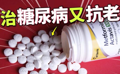 長壽藥物的科學與現實 — 挺健康 YouTube 影片封面