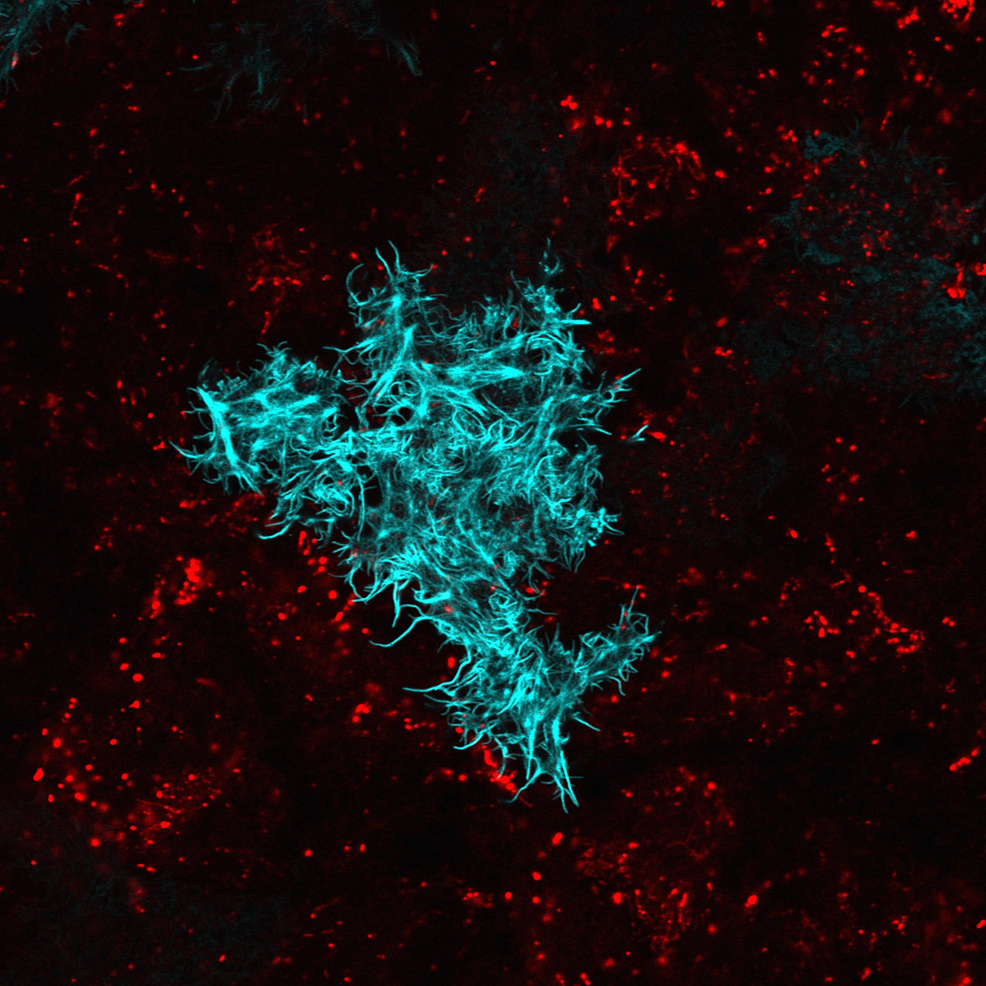 2023年優選作品:James P. Sullivan/温榮崑