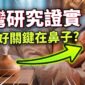 睡越久還是越累？科學家警告：房間裡的「隱形殺手」正在吃掉你的深層睡眠！
