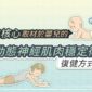 穩定核心，取材於嬰兒的「動態神經肌肉穩定術」復健方式